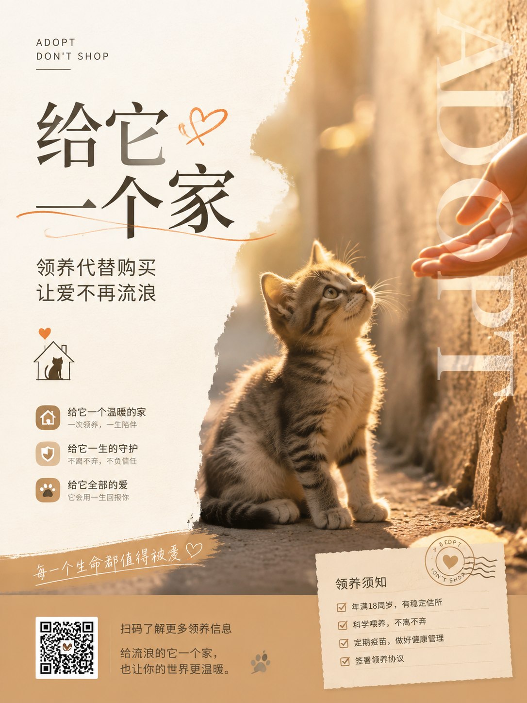 流浪猫领养公益海报